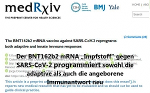 BNT162b reprogrammiert Immunantwort