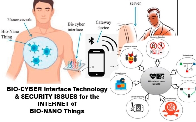 Internet of Bio-Nano Things